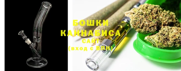 индика Балахна