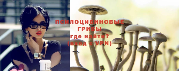 индика Балахна