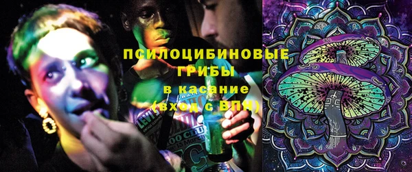 индика Балахна