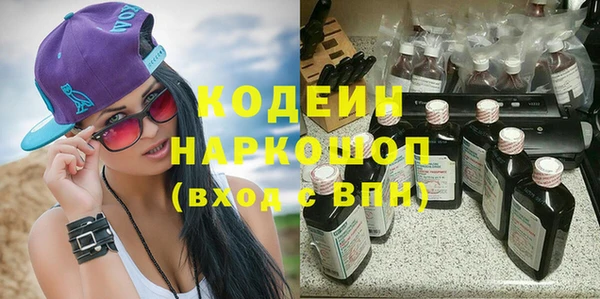 индика Балахна